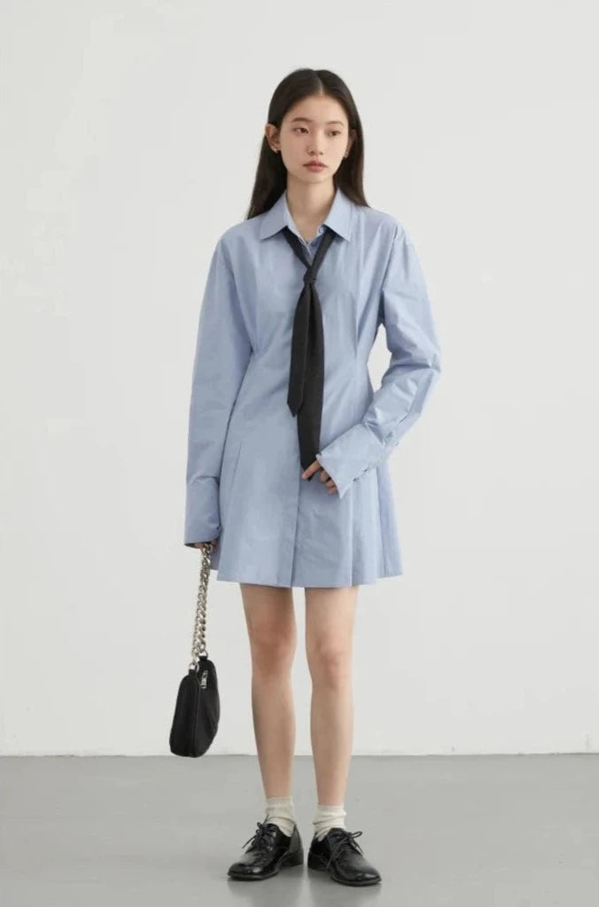 BLUE COTTON A-LINE SHIRT DRESS